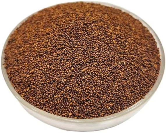 Basil Seeds (Tulsi Beej)